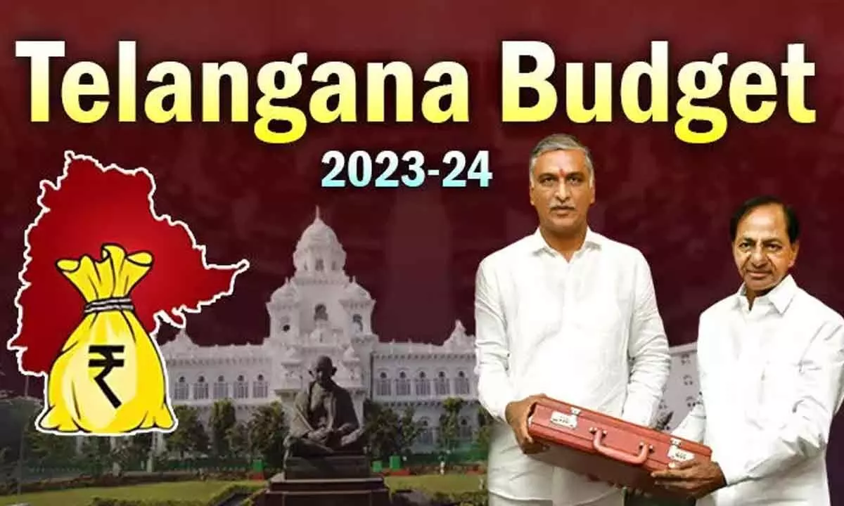 Telangana 202324 Budget Analysis Niti Tantra